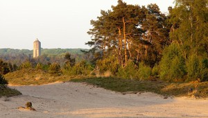 Zandverstuiving Radio Kootwijk